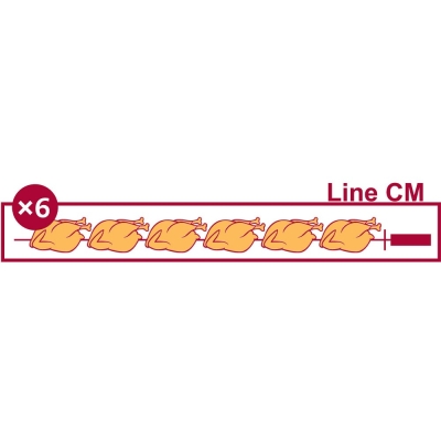 Rôtissoire gaz 3 broches (18 poulets) RVG/3-CM